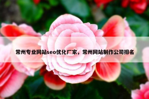 常州专业网站seo优化厂家，常州网站制作公司排名