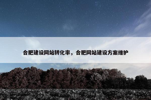 合肥建设网站转化率，合肥网站建设方案维护