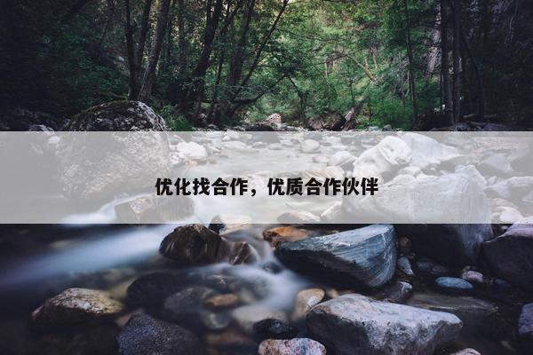 优化找合作，优质合作伙伴