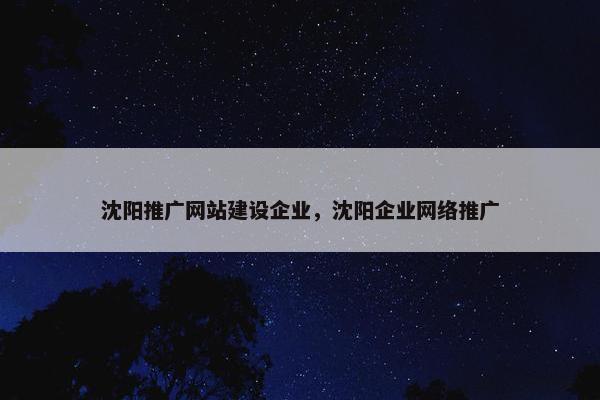 沈阳推广网站建设企业，沈阳企业网络推广