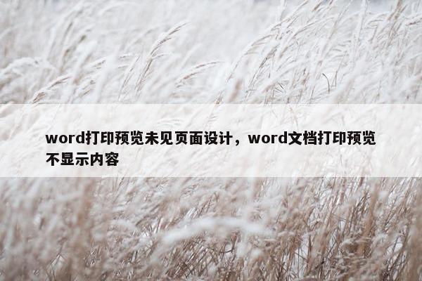 word打印预览未见页面设计，word文档打印预览不显示内容
