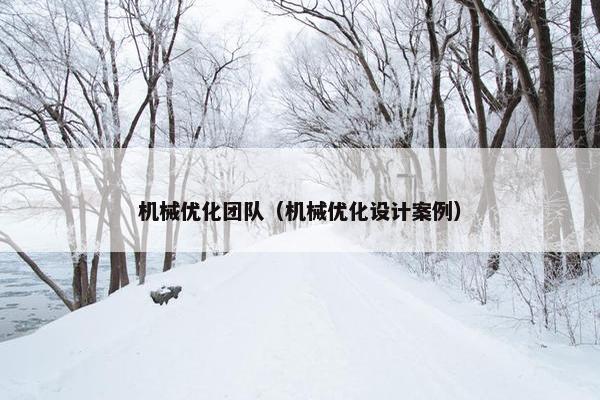 机械优化团队（机械优化设计案例）