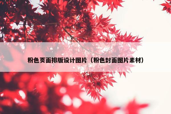 粉色页面排版设计图片（粉色封面图片素材）