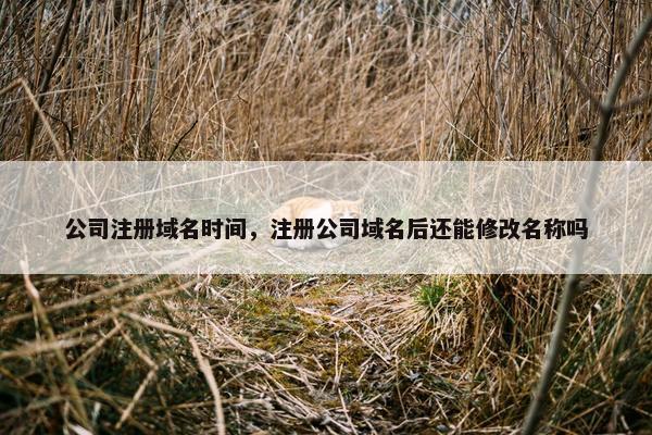 公司注册域名时间，注册公司域名后还能修改名称吗