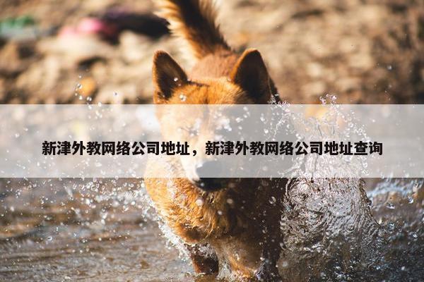 新津外教网络公司地址，新津外教网络公司地址查询