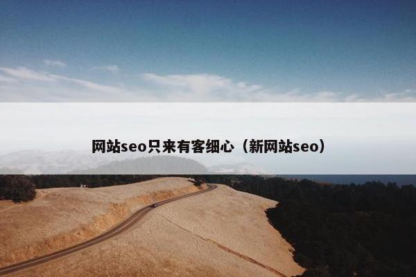 网站seo只来有客细心（新网站seo）