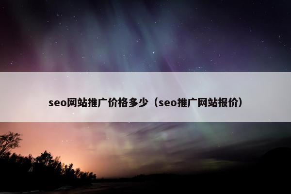 seo网站推广价格多少（seo推广网站报价）