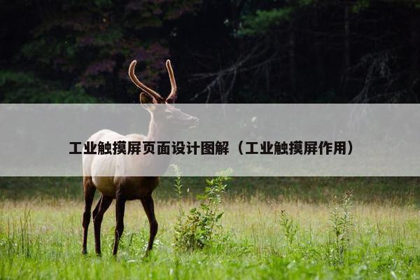 工业触摸屏页面设计图解（工业触摸屏作用）