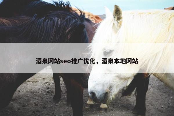 酒泉网站seo推广优化，酒泉本地网站