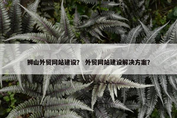 狮山外贸网站建设？ 外贸网站建设解决方案？