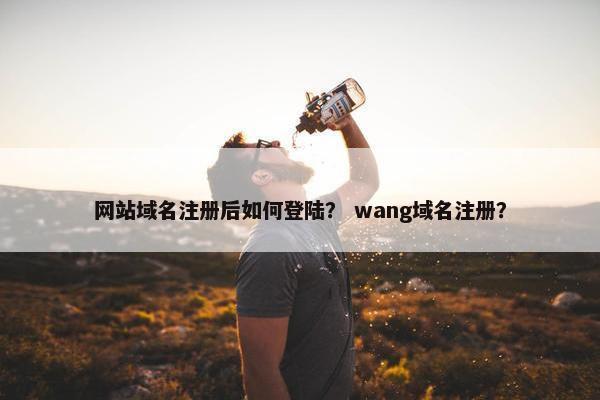 网站域名注册后如何登陆？ wang域名注册？