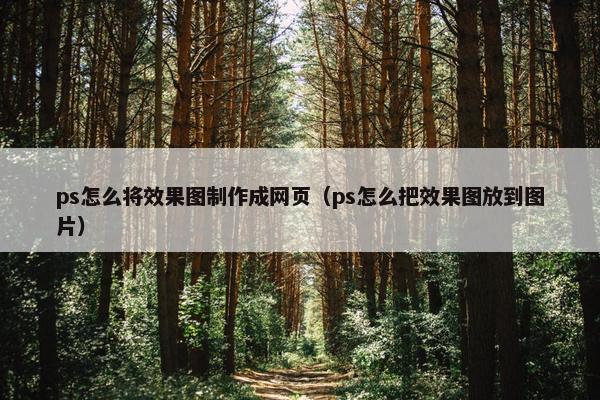 ps怎么将效果图制作成网页（ps怎么把效果图放到图片）