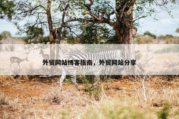 外贸网站博客指南，外贸网站分享