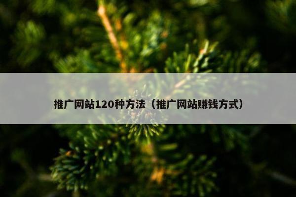 推广网站120种方法（推广网站赚钱方式）