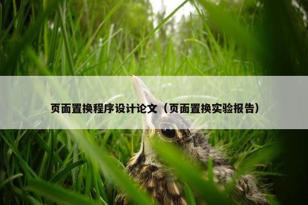 页面置换程序设计论文（页面置换实验报告）