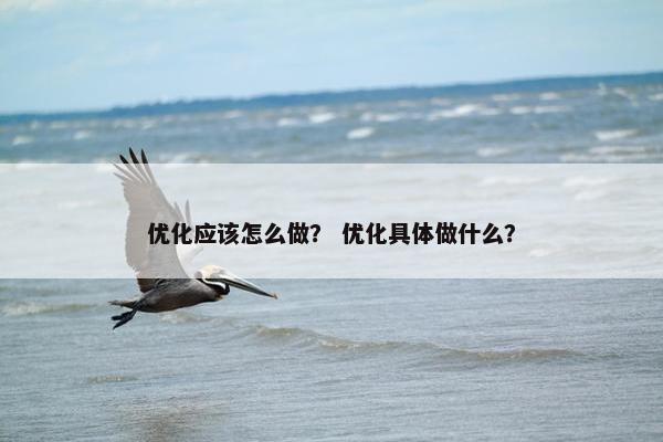 优化应该怎么做？ 优化具体做什么？