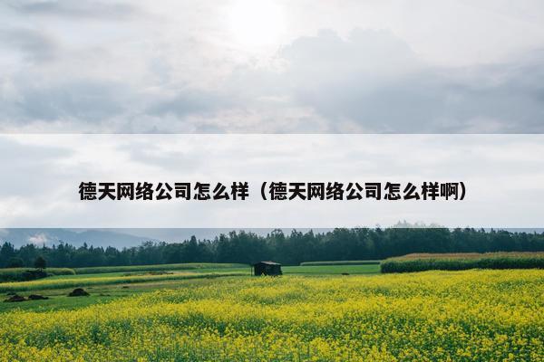 德天网络公司怎么样（德天网络公司怎么样啊）