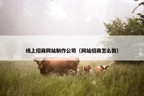 线上招商网站制作公司（网站招商怎么做）