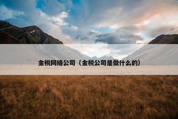 金税网络公司（金税公司是做什么的）