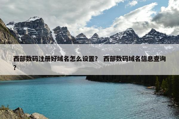 西部数码注册好域名怎么设置？ 西部数码域名信息查询？