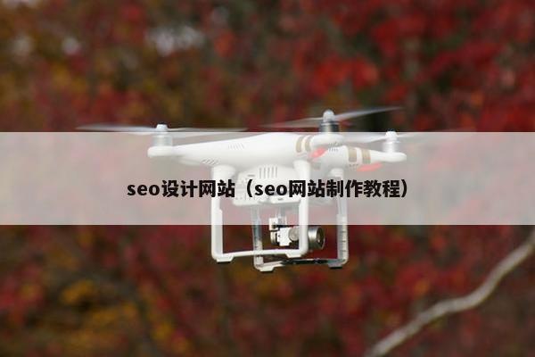 seo设计网站（seo网站制作教程）
