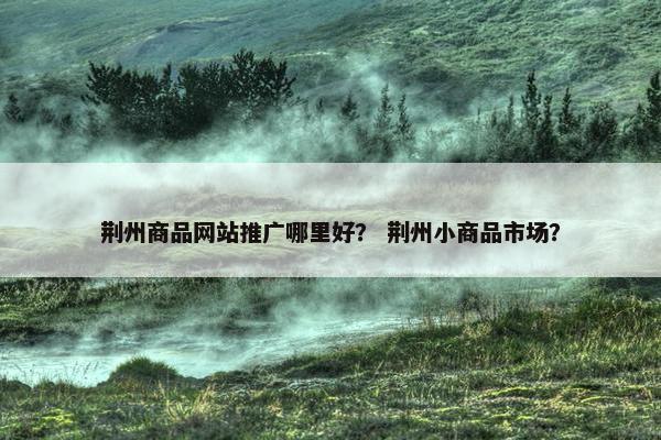 荆州商品网站推广哪里好？ 荆州小商品市场？