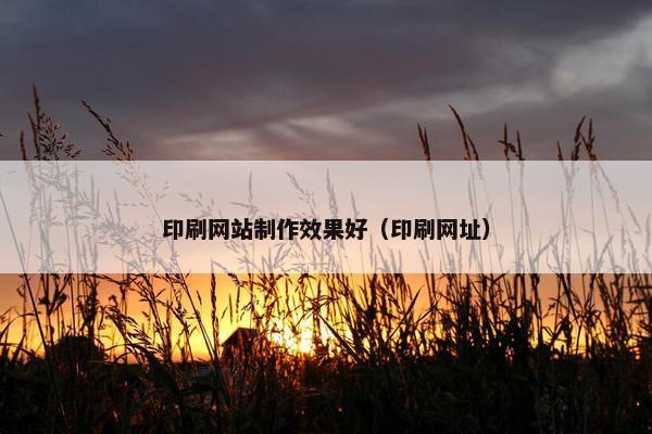 印刷网站制作效果好（印刷网址）