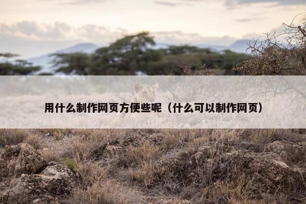 用什么制作网页方便些呢（什么可以制作网页）