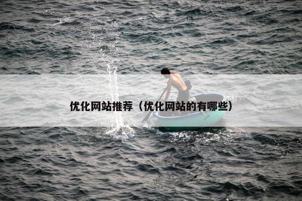 优化网站推荐（优化网站的有哪些）