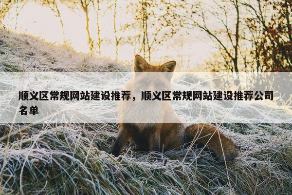 顺义区常规网站建设推荐，顺义区常规网站建设推荐公司名单