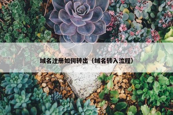 域名注册如何转出（域名转入流程）
