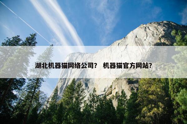 湖北机器猫网络公司？ 机器猫官方网站？