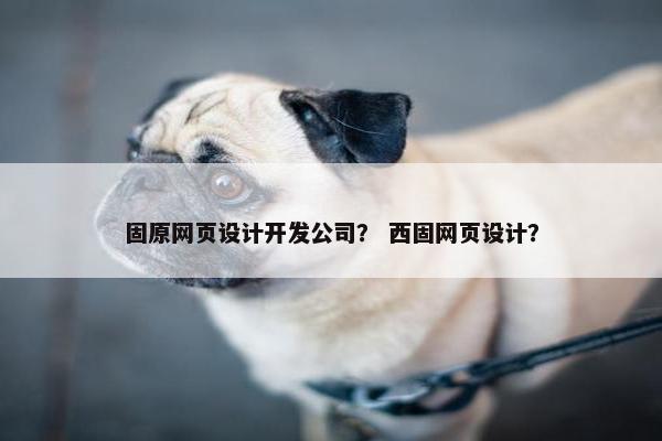 固原网页设计开发公司？ 西固网页设计？