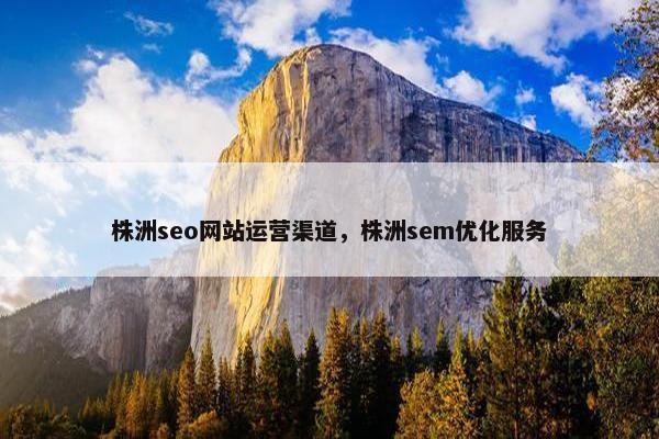 株洲seo网站运营渠道，株洲sem优化服务