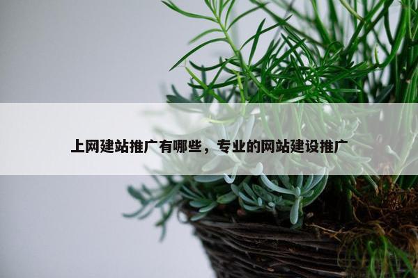 上网建站推广有哪些，专业的网站建设推广