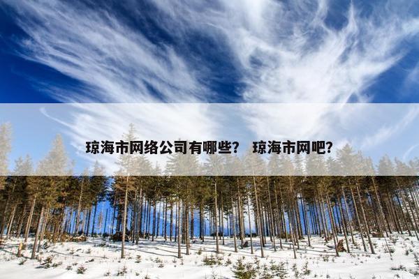 琼海市网络公司有哪些？ 琼海市网吧？