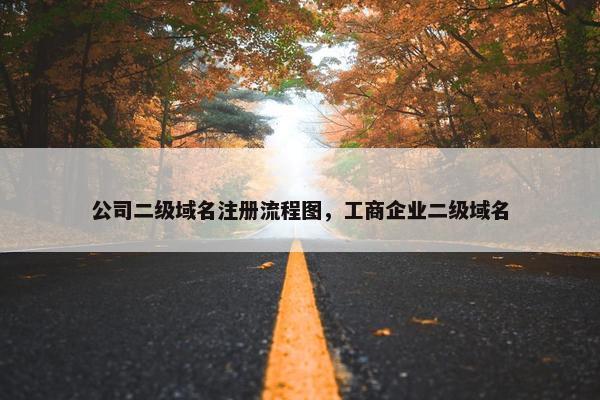 公司二级域名注册流程图，工商企业二级域名