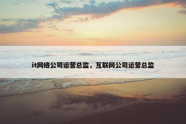 it网络公司运营总监，互联网公司运营总监