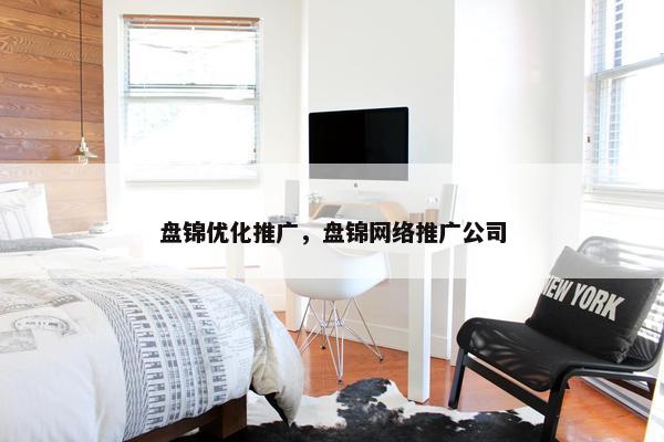 盘锦优化推广，盘锦网络推广公司