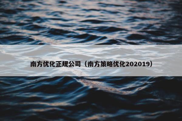 南方优化正规公司（南方策略优化202019）