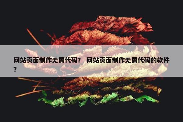 网站页面制作无需代码？ 网站页面制作无需代码的软件？