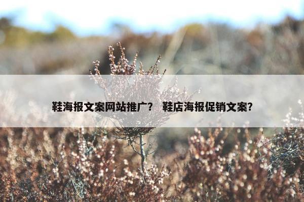 鞋海报文案网站推广？ 鞋店海报促销文案？