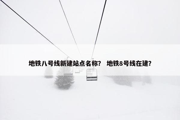 地铁八号线新建站点名称？ 地铁8号线在建？