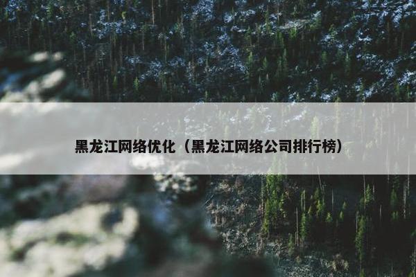 黑龙江网络优化（黑龙江网络公司排行榜）