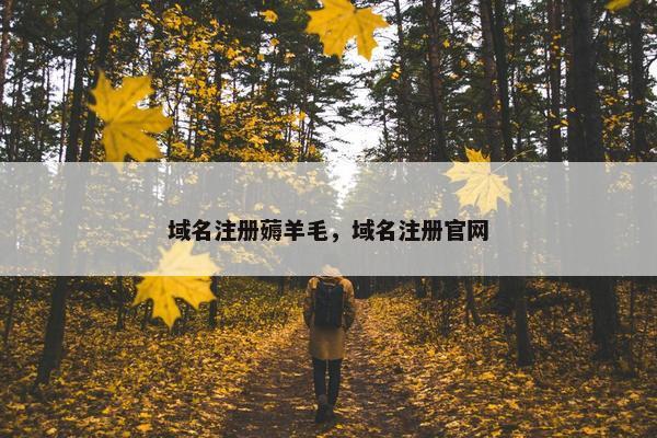 域名注册薅羊毛，域名注册官网