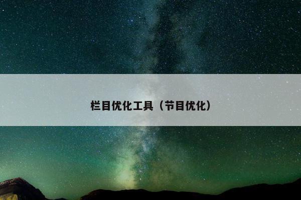 栏目优化工具（节目优化）