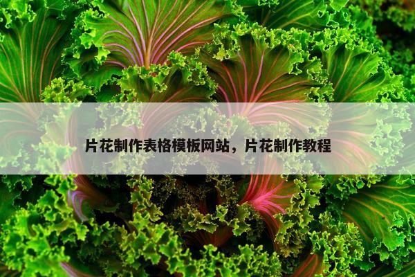 片花制作表格模板网站，片花制作教程