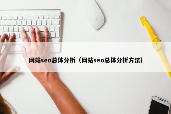 网站seo总体分析（网站seo总体分析方法）