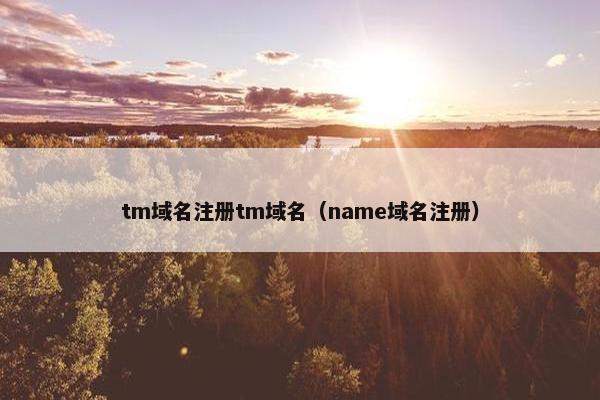 tm域名注册tm域名（name域名注册）