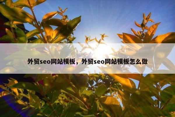 外贸seo网站模板，外贸seo网站模板怎么做